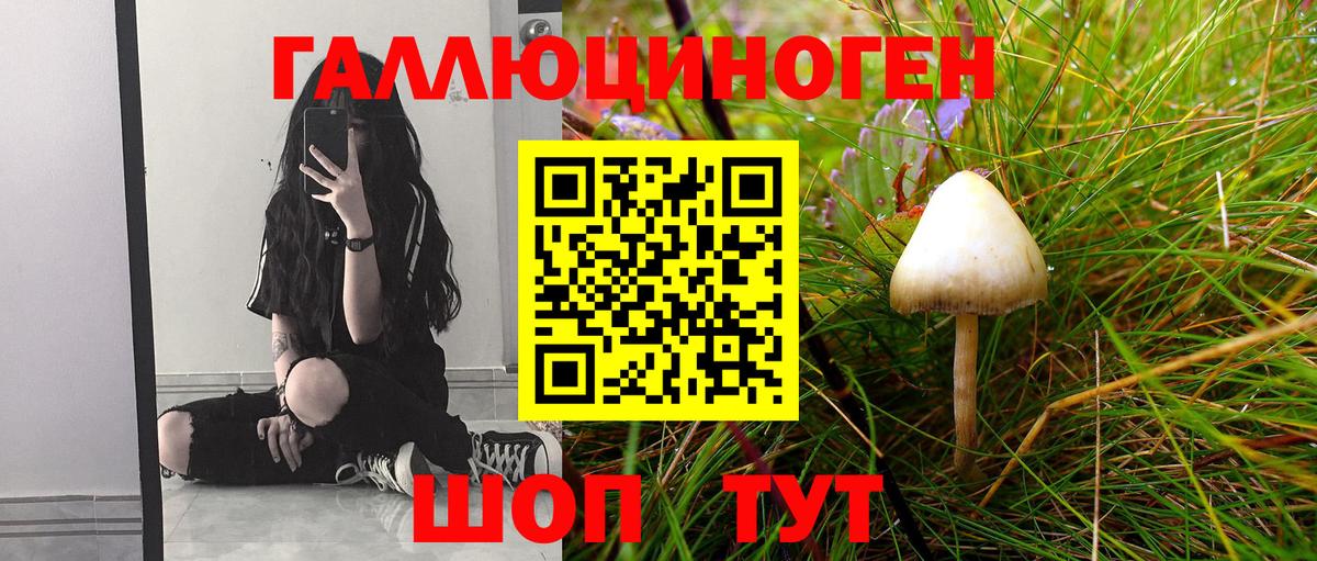 Псилоцибиновые грибы прущие грибы  Вход с VPN  Домодедово 